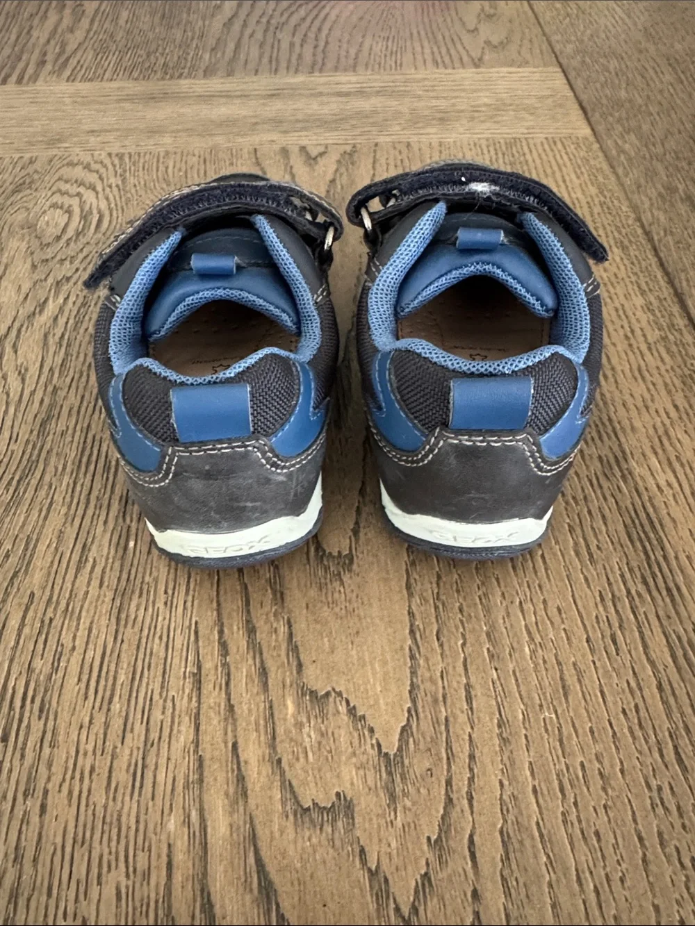 Geox Boys Navy and Light Blue Velcro Sneakers Size 8